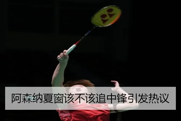 阿森纳夏窗该不该追中锋引发热议